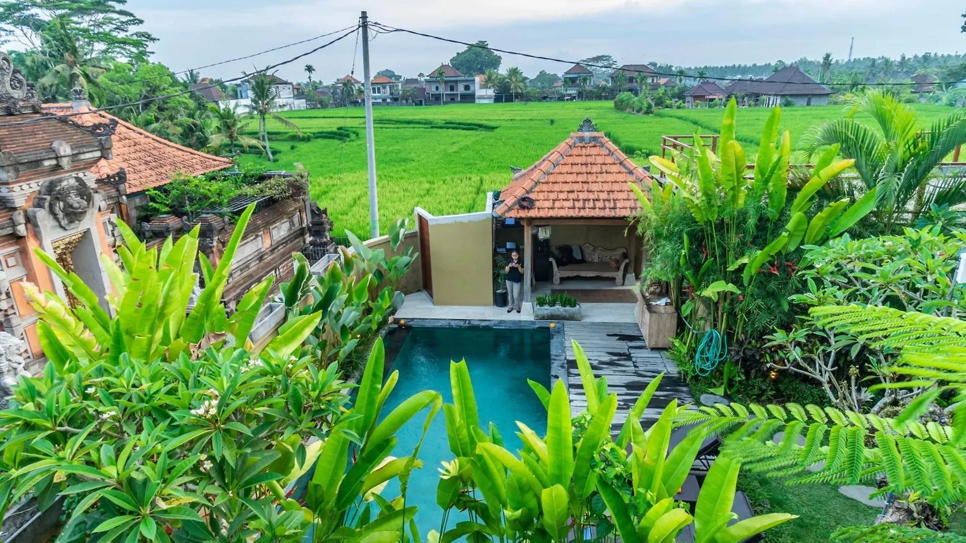 Jegeg Mas Bed & Breakfast Ubud   Ubud (Bali)