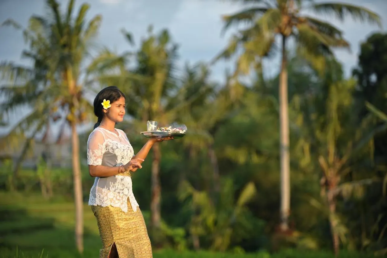 Jegeg Mas Cottage Ubud 2*,  Indonesien